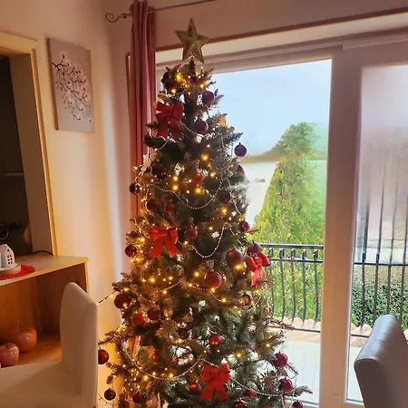 Palma Vila Karojba