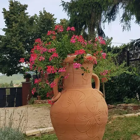Vila Palma Karojba