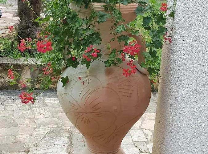 Palma *