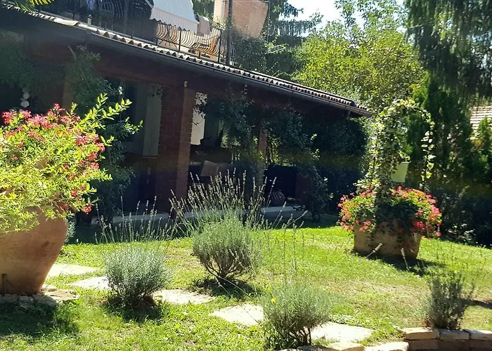 Palma Villa *